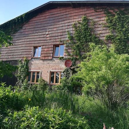 Ferien In Der Scheune Dettmannsdorf Ngoại thất bức ảnh