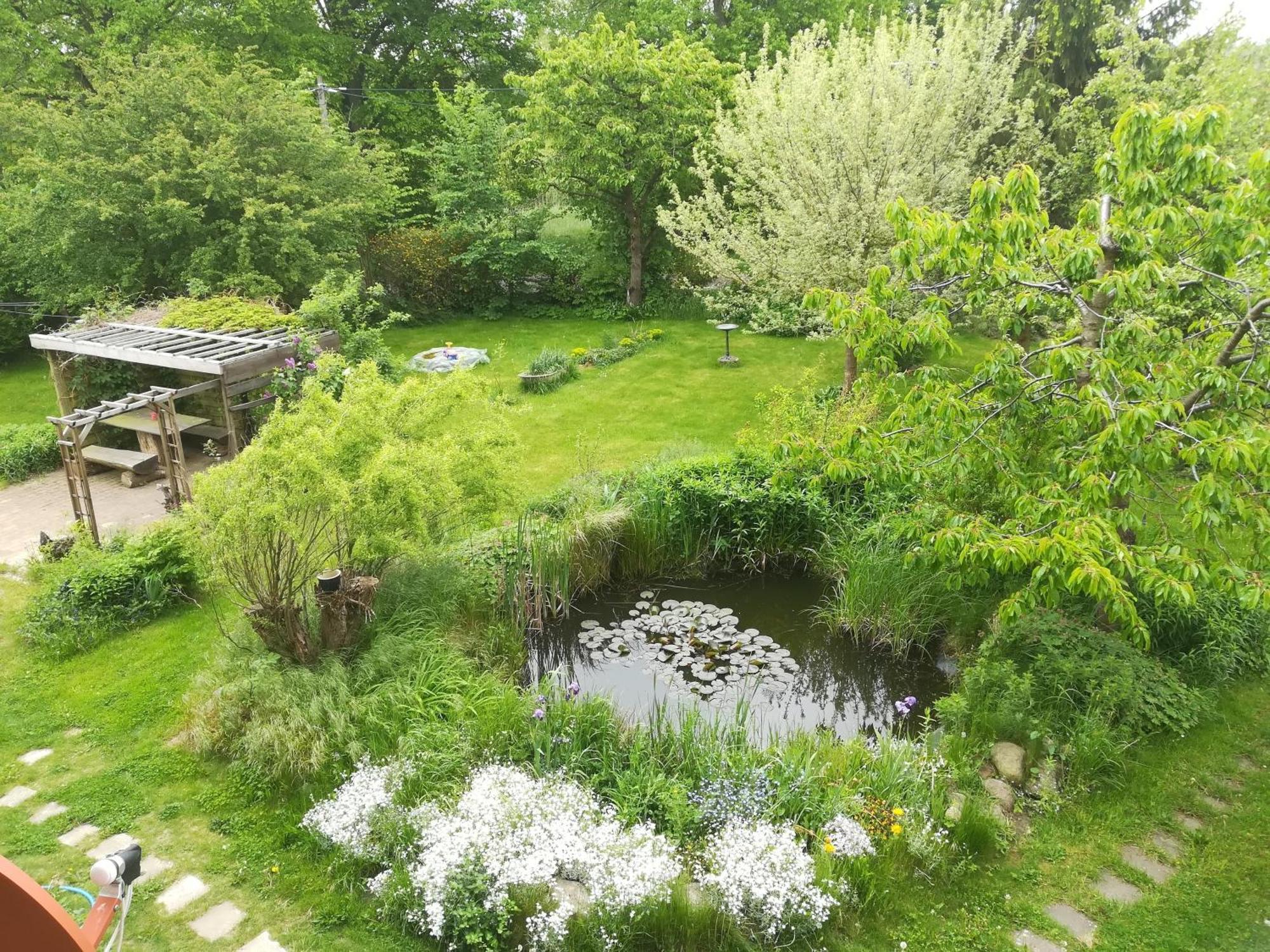 Ferien In Der Scheune Dettmannsdorf Ngoại thất bức ảnh